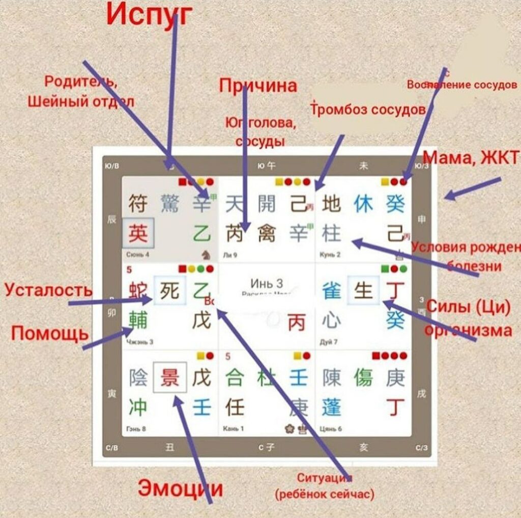 ци менть прогноз